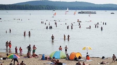 Strandbad am Müggelsee: Die Berliner Badegewässer punkten mit ausgezeichneter Wasserqualität. (Symbolbild) / Foto: Alexander Blum/dpa