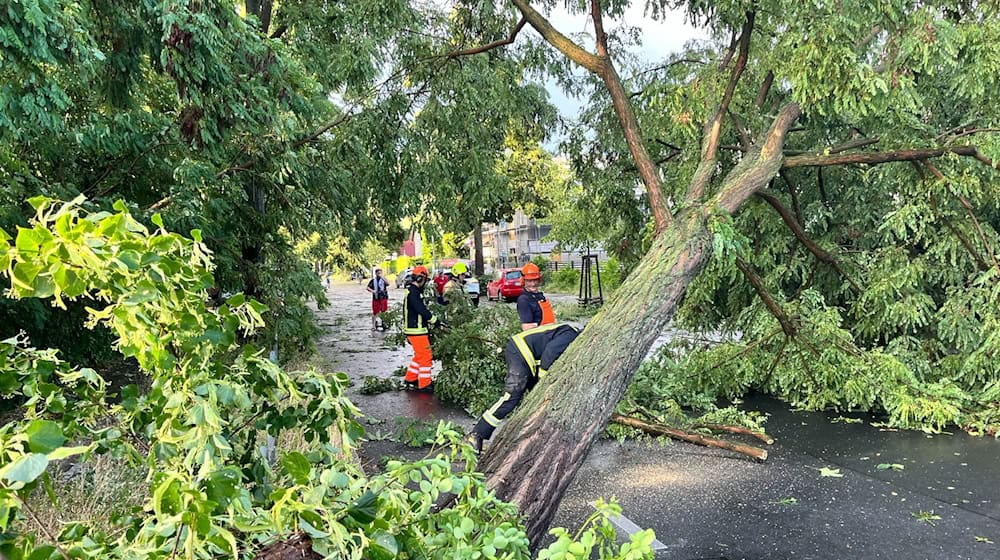 Die Aufräumarbeiten nach dem Unwetter dauern in Berlin und Brandenburg an. / Foto: Jens Dudziak/dpa