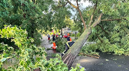 Die Aufräumarbeiten nach dem Unwetter dauern in Berlin und Brandenburg an. / Foto: Jens Dudziak/dpa