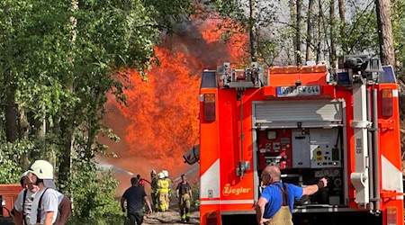 Die Feuerwehr bekämpft einen Waldbrand in Schönberg im Landkreis Ostprignitz-Ruppin.  / Foto: Christian Guttmann/Brandenburg News24/dpa