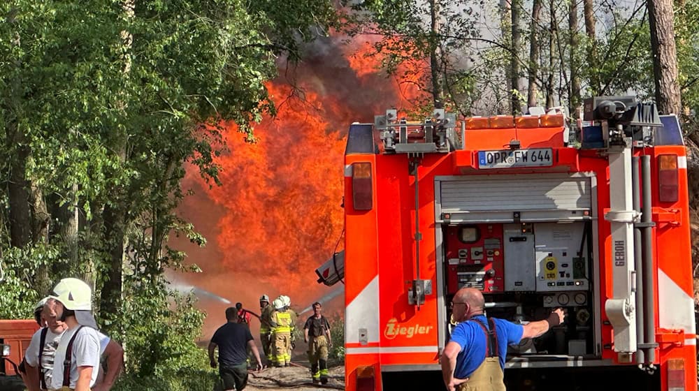 Die Waldbrandgefahr in Brandenburg ist angesichts der Trockenheit gestiegen. (Archivbild) / Foto: Christian Guttmann/Brandenburg News24/dpa