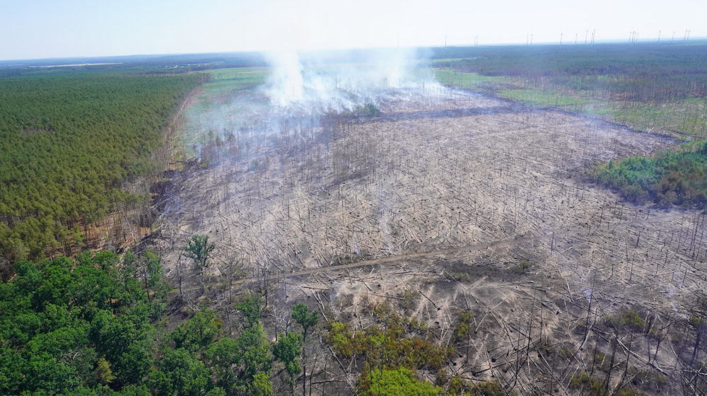 Die Waldbrandsaison ist in Brandenburg in vollem Gange. (Symbolbild) / Foto: --/Landkreis Potsdam-Mittelmark/dpa