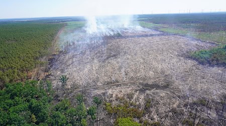 Die Waldbrandsaison ist in Brandenburg in vollem Gange. (Symbolbild) / Foto: --/Landkreis Potsdam-Mittelmark/dpa