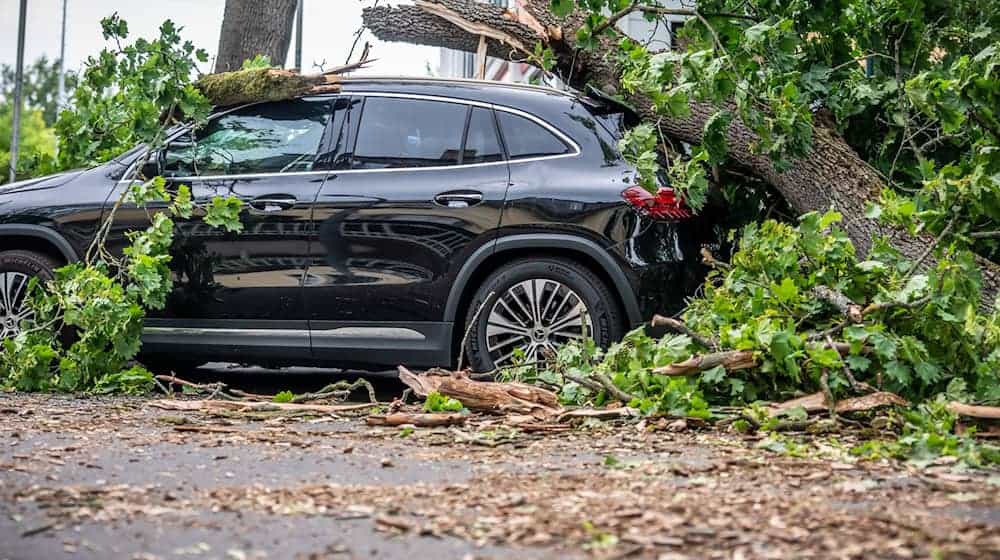 In Berlin führte jüngst ein Sturm zu zahlreichen Schäden. Eine Frau starb. / Foto: Michael Kappeler/dpa