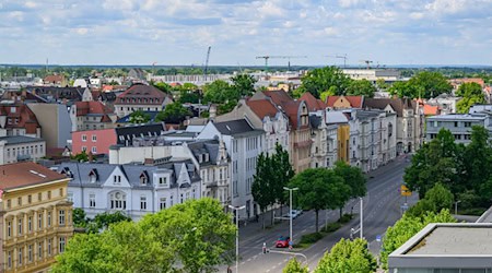 Seit Jahren ist es in der Region um Cottbus zu trocken. (Archivbild) / Foto: Patrick Pleul/dpa