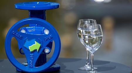 Die Berliner Wasserbetriebe investierten im vergangenen Jahr erstmals mehr eine halbe Milliarde Euro aus Eigenmitteln in die Versorgungsinfrastruktur. (Archivbild) / Foto: Soeren Stache/dpa