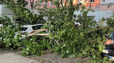 Unwetter machten den Menschen am Montag in der Hauptstadtregion zu schaffen. / Foto: Holger Mehlig/dpa