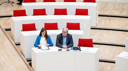 Bei der Feierstunde des Brandenburger Landtags ist die BSW-Fraktion nur mit zwei Abgeordneten vertreten.  / Foto: Fabian Sommer/dpa
