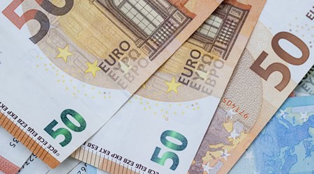 Der Finderlohn für einen gestohlenen Plüsch-Teddy beträgt nun satte 5.000 Euro. (Archivbild) / Foto: Hannes P Albert/dpa