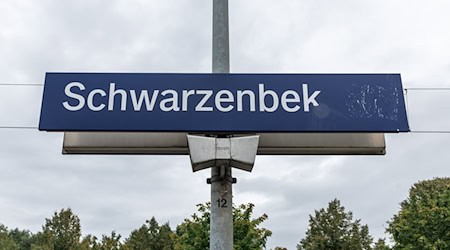 Die Bahnstrecke zwischen Schwarzenbek und Hamburg-Bergedorf ist wegen eines Notarzteinsatzes gesperrt. (Archivbild) / Foto: Markus Scholz/dpa