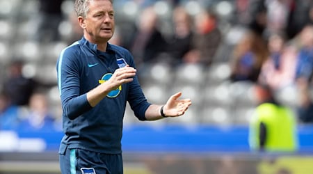 Rainer Widmayer kennt sich aus bei Hertha BSC.  / Foto: Soeren Stache/dpa