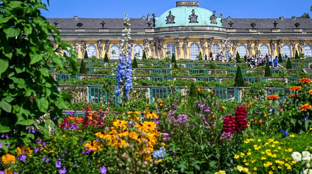 Die Postkartenansicht vom Schloss Sanssouci kennen viele Touristen. (Archivbild) / Foto: Jens Kalaene/dpa