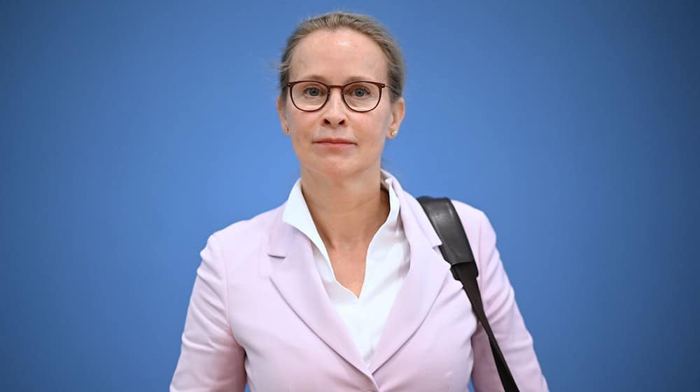 Die Potsdamer Juristin und Verfassungsrichter-Kandidatin Frauke Brosius-Gersdorf ist in der Union umstritten. (Archivbild) / Foto: Britta Pedersen/dpa