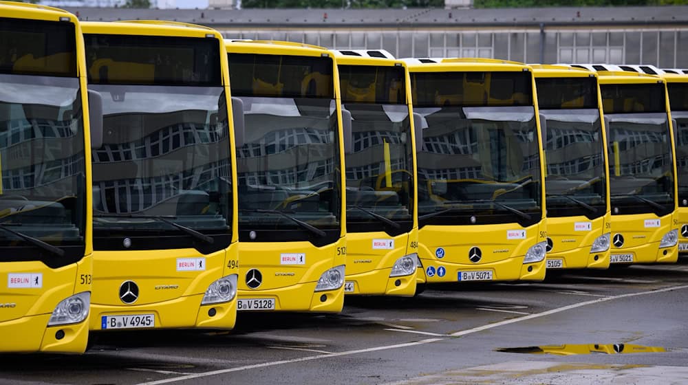 Mehr Platz für Busse: Die Berliner Verkehrsbetriebe wollen mehr Betriebshöfe für die eigene Flotte errichten. (Archivbild) / Foto: Bernd von Jutrczenka/dpa
