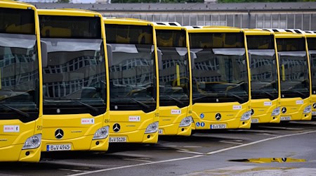 Mehr Platz für Busse: Die Berliner Verkehrsbetriebe wollen mehr Betriebshöfe für die eigene Flotte errichten. (Archivbild) / Foto: Bernd von Jutrczenka/dpa