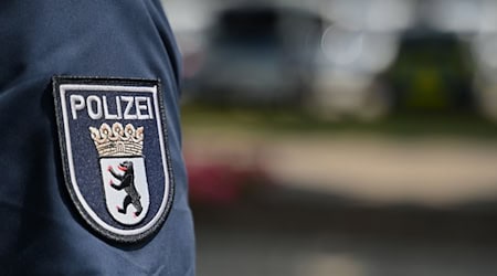 Alle drei Beschuldigten kamen in Polizeigewahrsam. (Symbolbild) / Foto: Michael Brandt/dpa