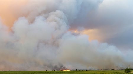 Das Feuer in der Gohrischheide ist weiterhin nicht unter Kontrolle. Aktuell breitet sich der Brand nach Norden aus, teilte das Landratsamt Meißen am Donnerstagmorgen mit. / Foto: Daniel Wagner/dpa