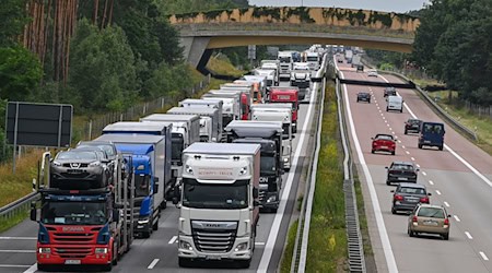 Lkw-Staus in Richtung Polen gab es auch in der Vergangenheit mitunter. (Archivbild) / Foto: Patrick Pleul/dpa