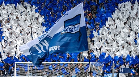 Am zweiten Spieltag treffen Hertha BSC und der KSC aufeinander. / Foto: Soeren Stache/dpa