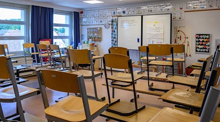 Mit den Zeugnissen in der Hand beenden viele Kinder ihren letzten Schultag vor den Sommerferien. (Symbolbild) / Foto: Patrick Pleul/dpa