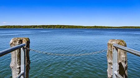 Ein junger Mann ist im Scharmützelsee gestorben. (Symbolbild) / Foto: Patrick Pleul/dpa