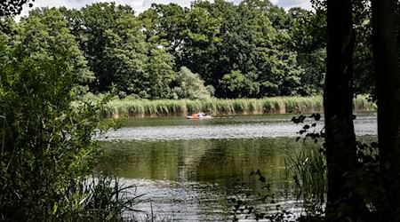 Für einen Mann endete ein Badeausflug zum Falkenhagener See tödlich. (Symbolbild) / Foto: Paul Zinken/dpa-Zentralbild/ZB