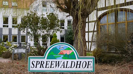 Das Unternehmen Spreewaldkonserve Golßen GmbH richtet nach Millionen-Verlusten das Geschäft mit Gurken neu aus. Ab Ende Oktober gibt es Entlassungen. (Archivfoto)  / Foto: Patrick Pleul/dpa