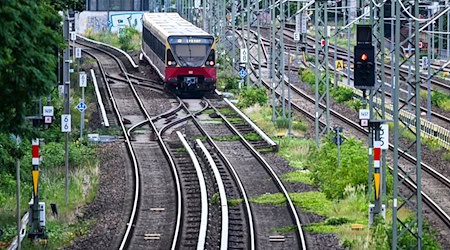 Auf mehreren S-Bahnlinien fallen Züge aus. (Symbolbild) / Foto: Jens Kalaene/dpa