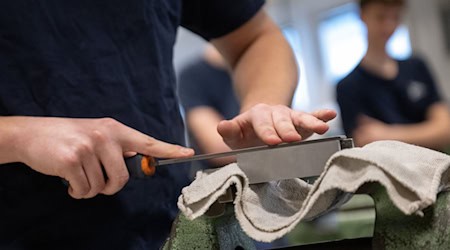 Wer eine Ausbildung in Brandenburg machen möchte, hat noch viele freie Plätze zur Auswahl. (Symbolbild) / Foto: Sebastian Gollnow/dpa