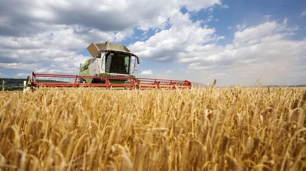 Die Bauernverbände befürchten Nachteile für den ländlichen Raum. (Symbolbild) / Foto: Thomas Warnack/dpa