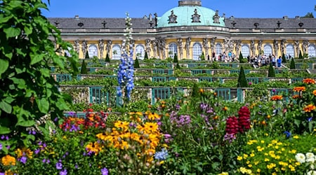 Die Gärten wie hier von Sanssouci sollen auch künftig kostenlos zu sehen sein. (Archivbild) / Foto: Jens Kalaene/dpa/ZB