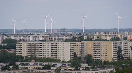 Berlin ist auf der Suche nach neuen Standorten für Windkraftanlagen. (Archivfoto)  / Foto: Jörg Carstensen/dpa