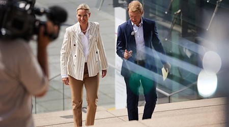 Beim ARD-Sommerinterview mit AfD-Chefin Alice Weidel war zeitweise wenig zu verstehen. (Archivbild) / Foto: Joerg Carstensen/dpa