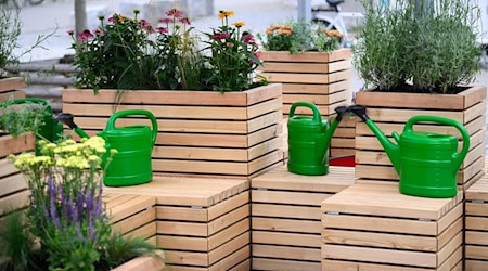 Sitzen im Schatten, Pflanzen und ein Trinkbrunnen: Das soll bei Hitze in der Öffentlichkeit helfen. / Foto: Bernd von Jutrczenka/dpa