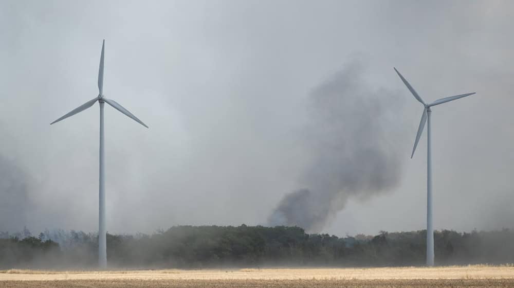 Rund 560 Kräfte waren am Sonntag in der Gohrischheide im Einsatz. (Archivbild) / Foto: Sebastian Kahnert/dpa