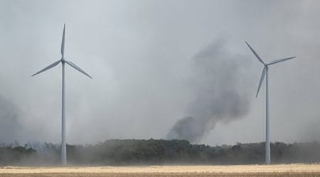 Rund 560 Kräfte waren am Sonntag in der Gohrischheide im Einsatz. (Archivbild) / Foto: Sebastian Kahnert/dpa