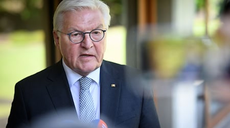 Der Bundespräsident verlegt seinen Amtssitz für drei Tage nach Neuruppin. (Archivbild) / Foto: Bernd von Jutrczenka/dpa