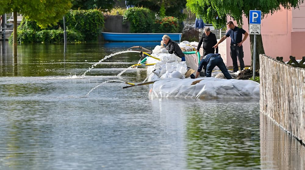 Brandenburg erlebte im vergangenen Jahr ein Hochwasser entlang der Oder. (Archivbild) / Foto: Patrick Pleul/dpa
