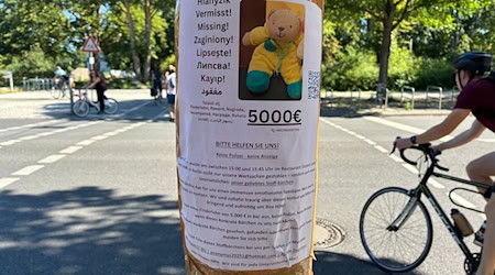 Suche nach dem vermissten Teddy in Berlin: Der Finderlohn ist deutlich erhöht worden.  / Foto: Caroline Bock/dpa