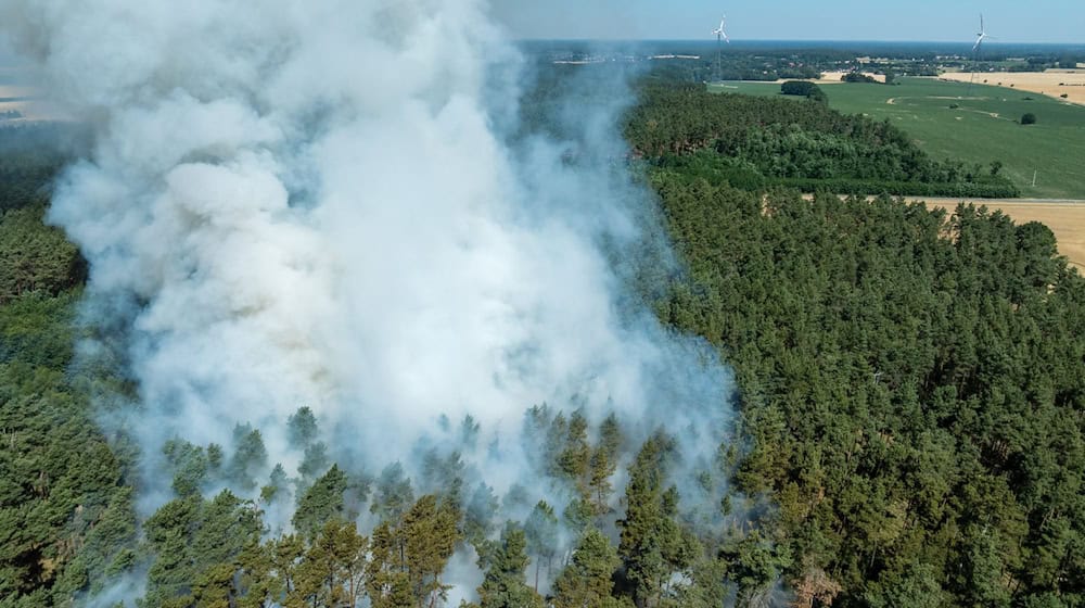 Die Zahl der Waldbrände in Brandenburg ist schon jetzt größer als 2024. / Foto: Frank Hammerschmidt/dpa