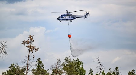 Der Flugdienst der Bundespolizei war in den vergangenen Tagen bei mehreren Waldbränden in Ostdeutschland im Einsatz. / Foto: Robert Michael/dpa