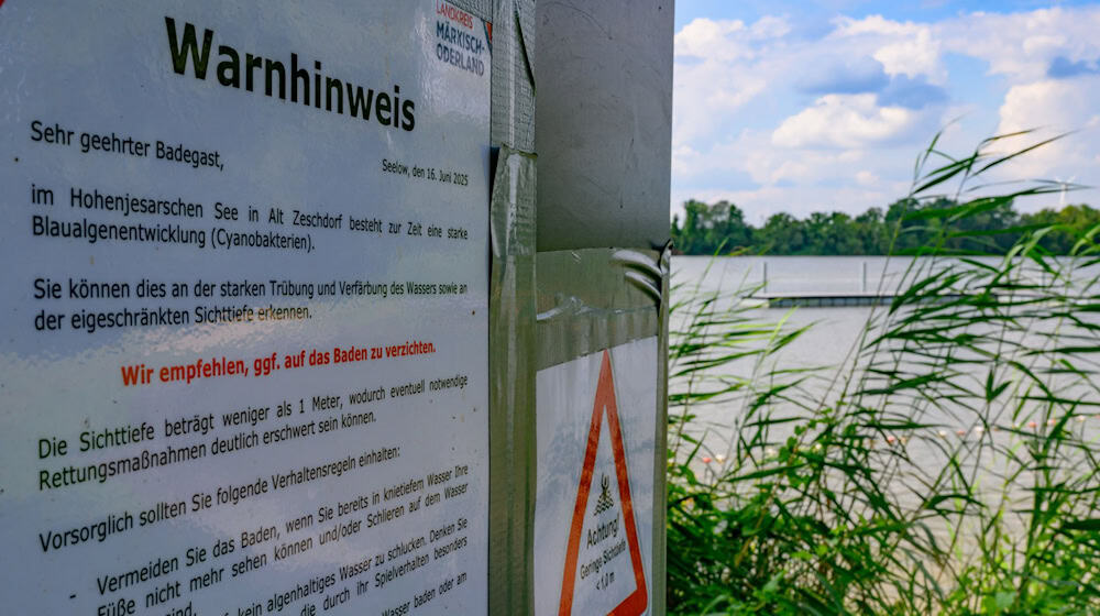 Im Hohenjesarscher See trüben Blaualgen derzeit den Badespaß. / Foto: Patrick Pleul/dpa