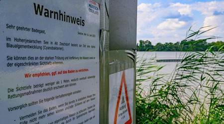 Im Hohenjesarscher See trüben Blaualgen derzeit den Badespaß. / Foto: Patrick Pleul/dpa