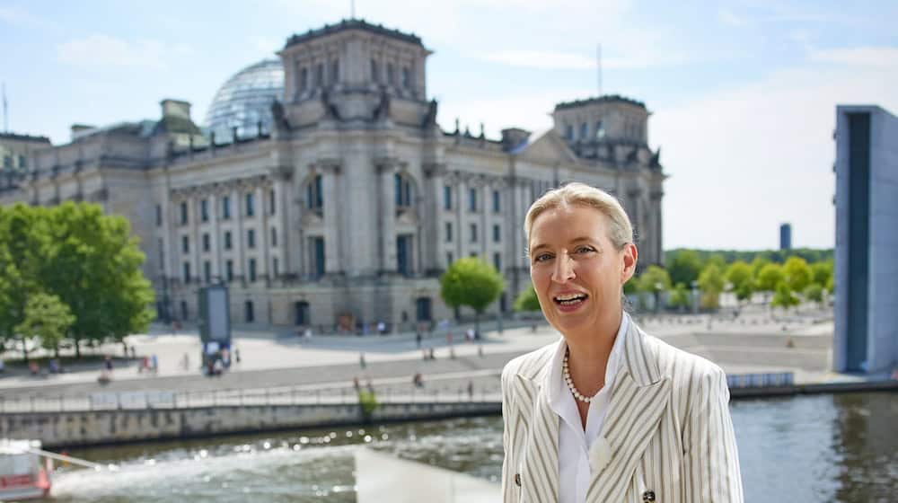 Die Stimme von AfD-Chefin Alice Weidel ging im Interview wegen der Lautstärke eines Protests fast unter. / Foto: Joerg Carstensen/dpa