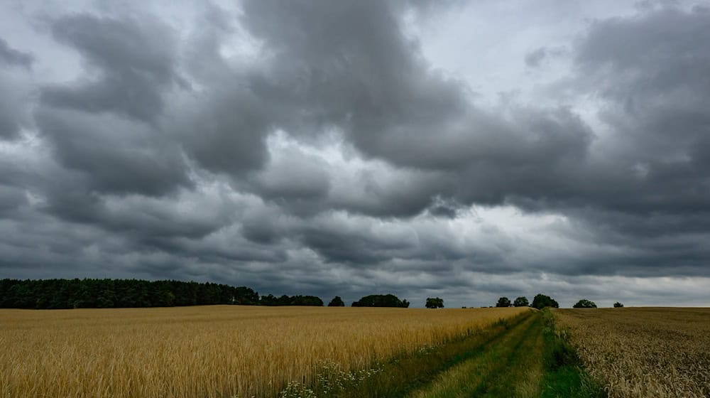 Weitere Gewitter ziehen bis zur Mitte der Woche über die Hauptstadtregion. (Symbolbild) / Foto: Patrick Pleul/dpa