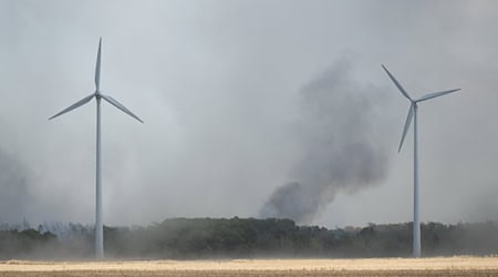 Der Wind hat in Richtung Brandenburg gedreht.  / Foto: Sebastian Kahnert/dpa
