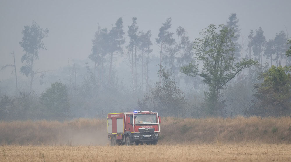 Das Feuer in der Gohrischheide war am Dienstag ausgebrochen. / Foto: Sebastian Kahnert/dpa