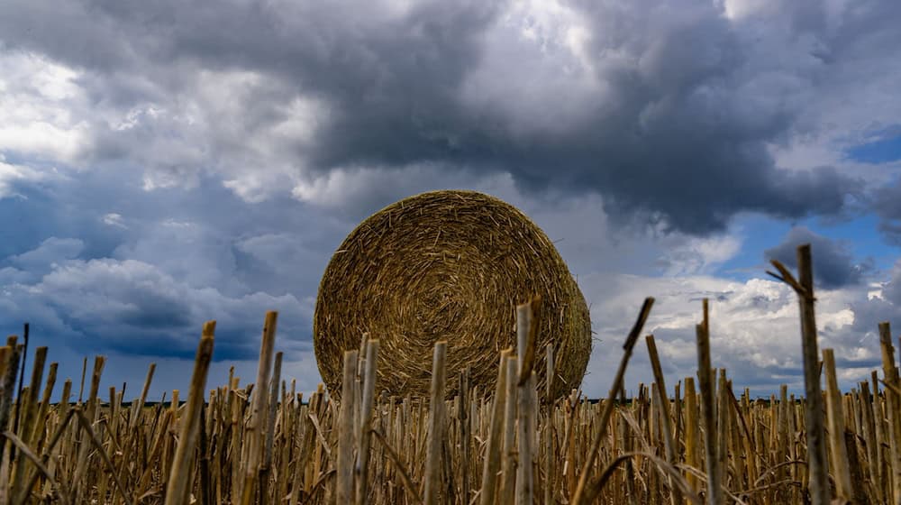Am Donnerstag sind dichte Wolken angesagt. (Symbolbild) / Foto: Patrick Pleul/dpa