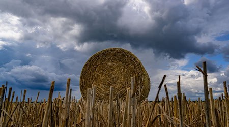 Am Donnerstag sind dichte Wolken angesagt. (Symbolbild) / Foto: Patrick Pleul/dpa