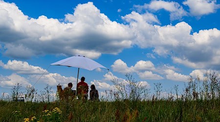 Nach Tagen mit unbeständigem Wetter gibt es am Donnerstag Sonne und Wolken. (Symbolbild) / Foto: Patrick Pleul/dpa